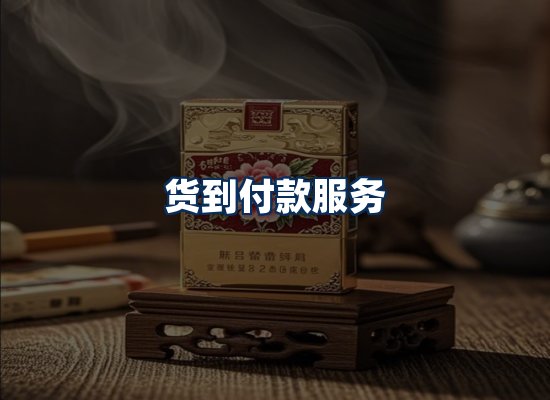 专业团队办公环境